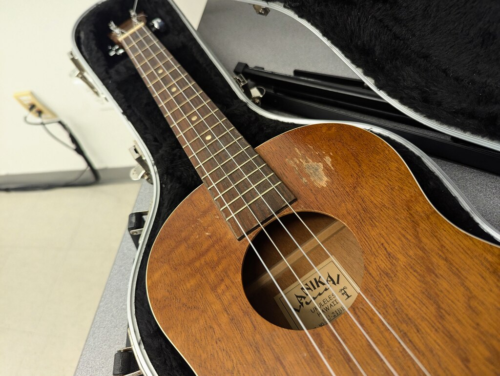 Jefferson Holland, the Annapolis poet laureate, often performs with a worn ukelele, arguing there's really not much difference between poetry and lyrics.