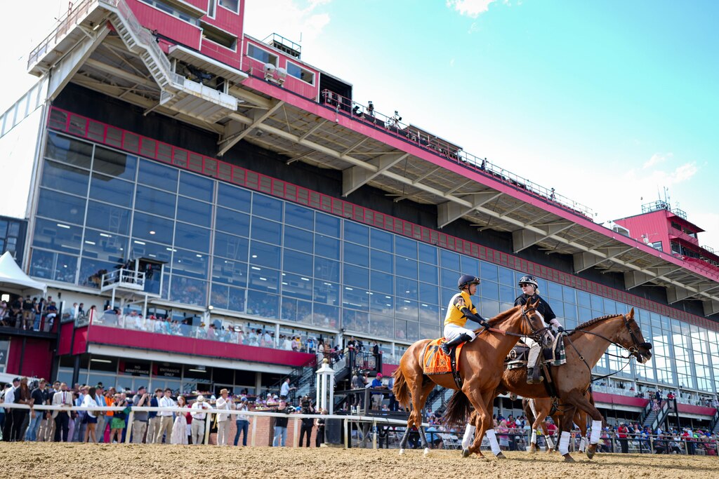 Reagan’s Wit, ridden by Jose Ortiz, prepares for the James W. Murphy Stakes on Preakness Day at Pimlico Race Course in Baltimore, Md. on Saturday, May 17, 2025.