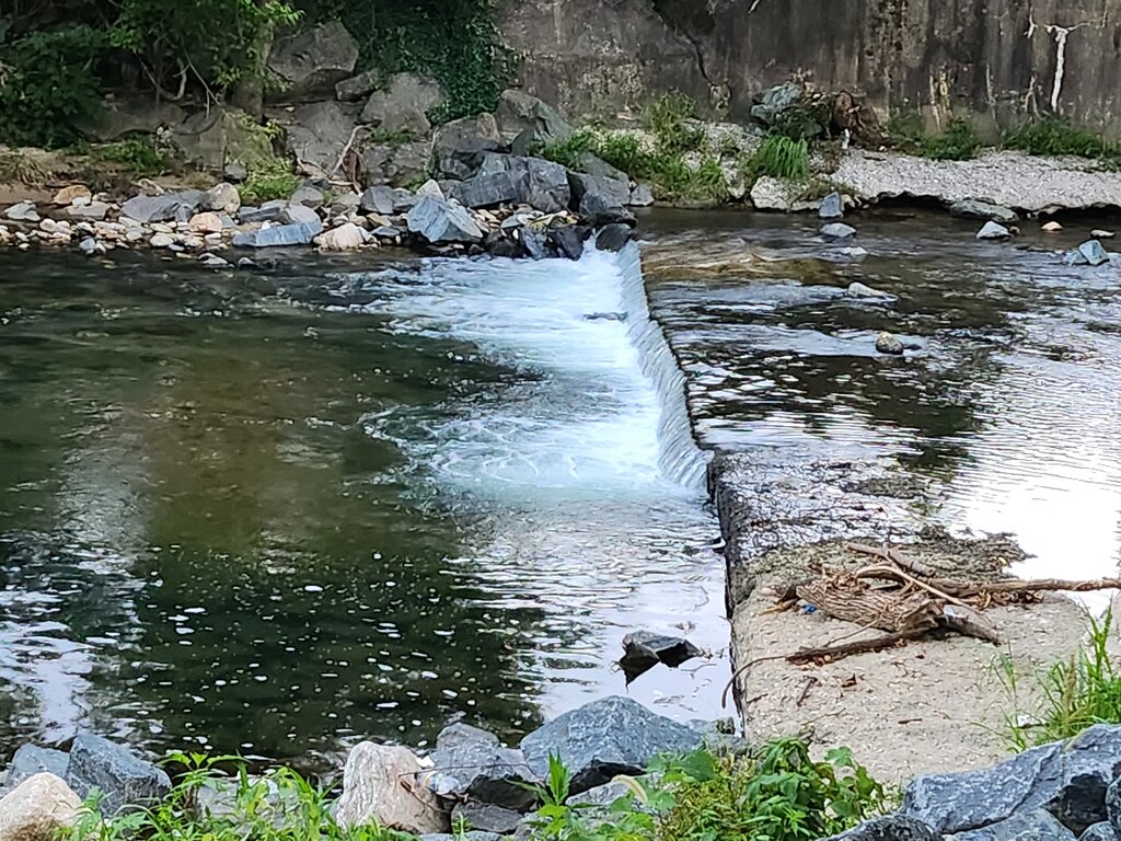 Herring Run is a tributary of the Back River in Baltimore.