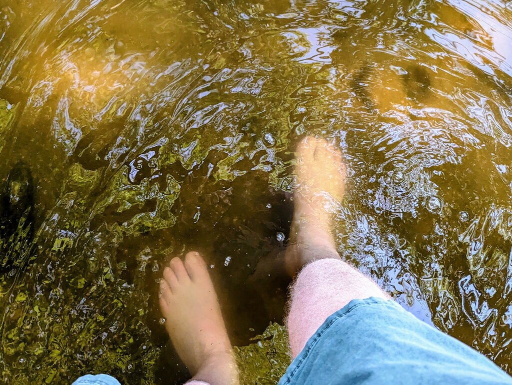 When you get into the Chesapeake Bay or one of its tributaries, what you see may not be what you get.