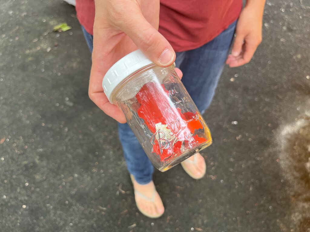 Carol Jarvis holds a jar with piece of red paint. She has been collecting them to test for lead.