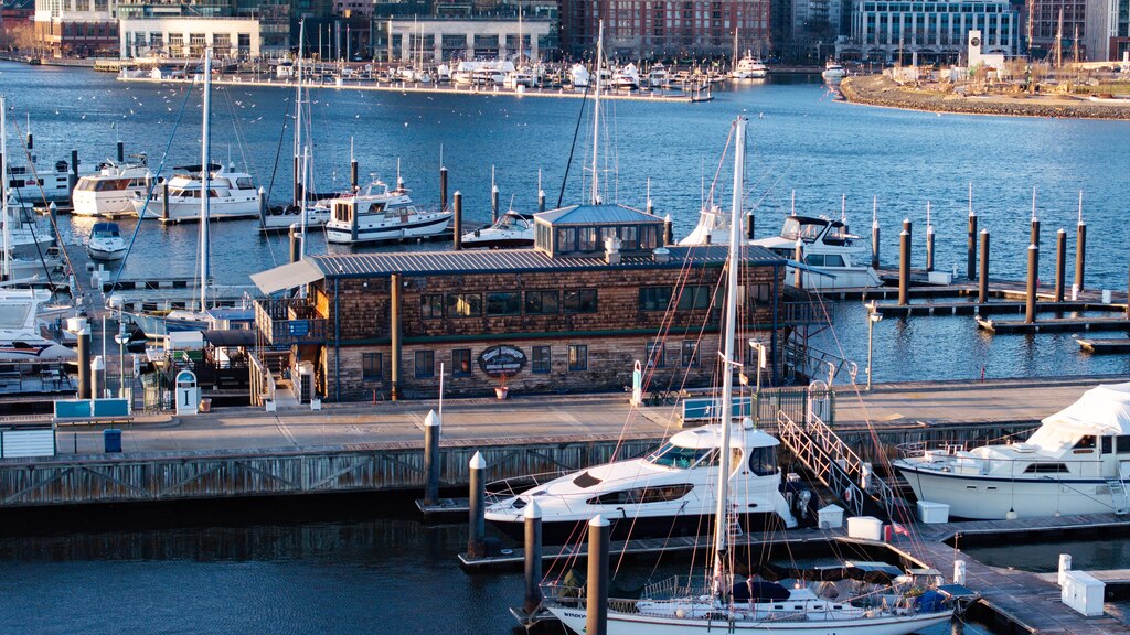 Boats docked at Harborview Marina in Baltimore, Md. on Wednesday, March 26, 2025.