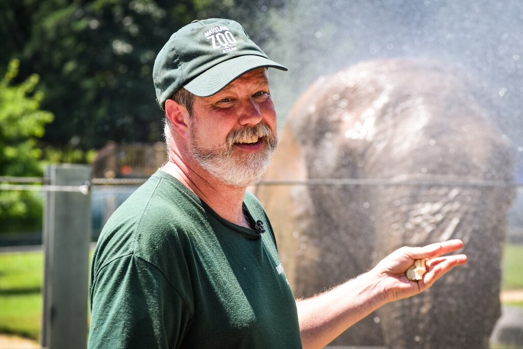 Steven Schweiger, a zookeeper, stands in front of an elephant