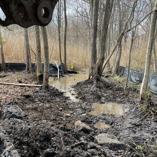 A photo from a resident shows the start of a state-ordered cleanup of tons of rubble and stone in fragile wetlands.
