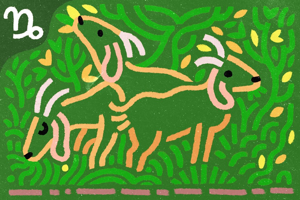 Capricorn