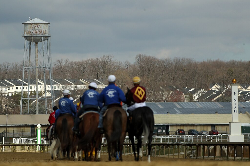 LAUREL, MARYLAND - MARCH 15: Horses prepare to race without spectators at Laurel Park on March 15, 2020 in Laurel, Maryland. Nearly all of professional sports have been canceled or postposed because of the Coronavirus pandemic, except for horse racing. However, today Maryland Gov. Larry Hogan issued an emergency order to close all Maryland casinos, racetracks, and simulcast betting facilities to the general public due to COVID-19.