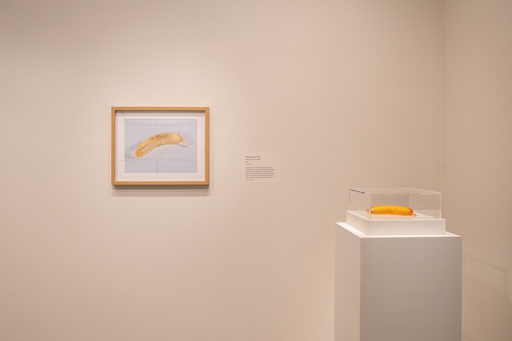 Wonchul Ryu's “January 3rd, 1852, Hawaii” sugar sculpture is on display at the Sondheim Art Prize finalists' exhibit at the Walters Art Museum.