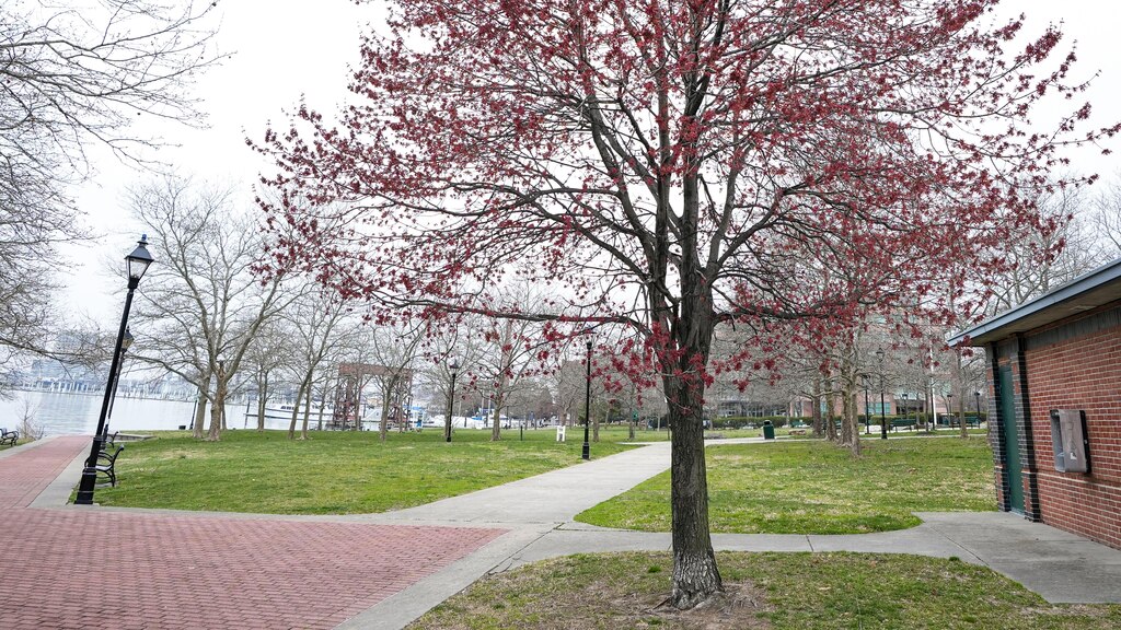 Canton Waterfront, Dypski Park, 1213 Ellwood Ave, Baltimore Md