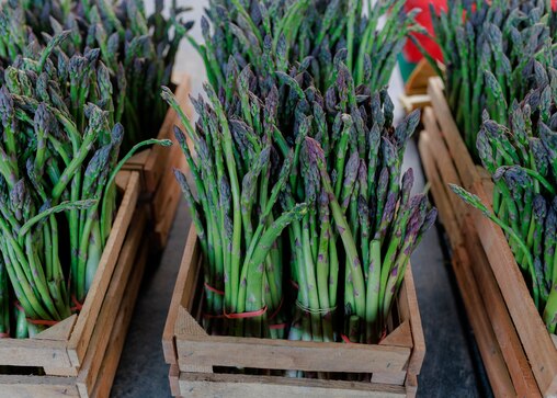 Vendors display their wares at the Baltimore Farmer’s Market in downtown Baltimore, MD on April 13, 2025.