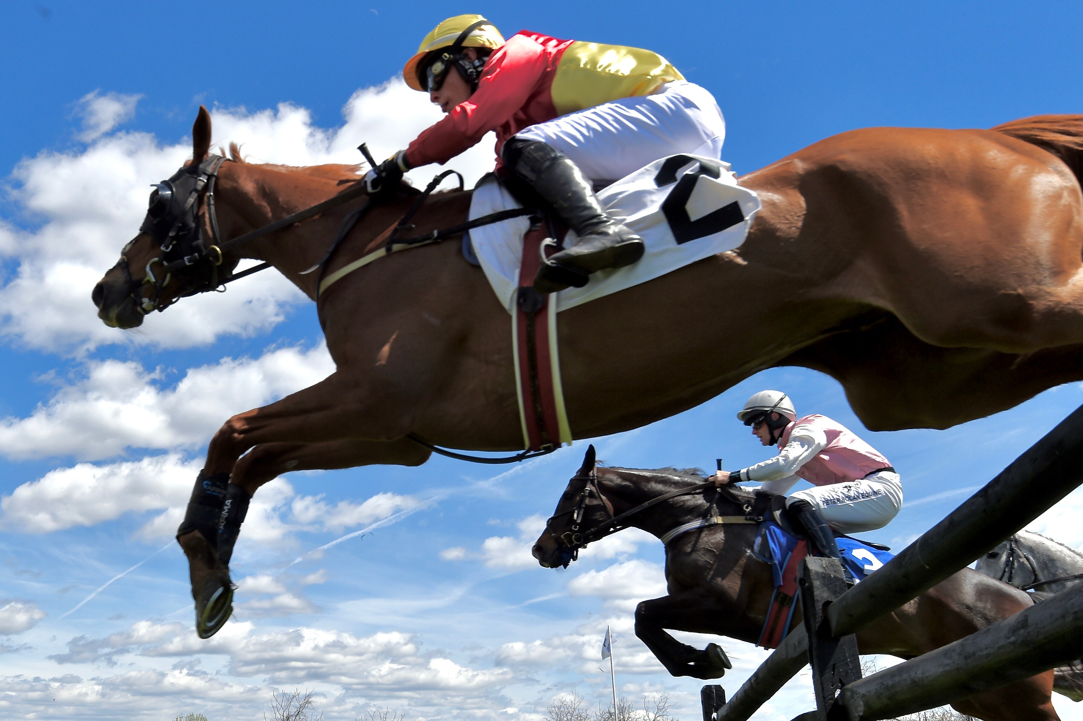 My Lady’s Manor Steeplechase.