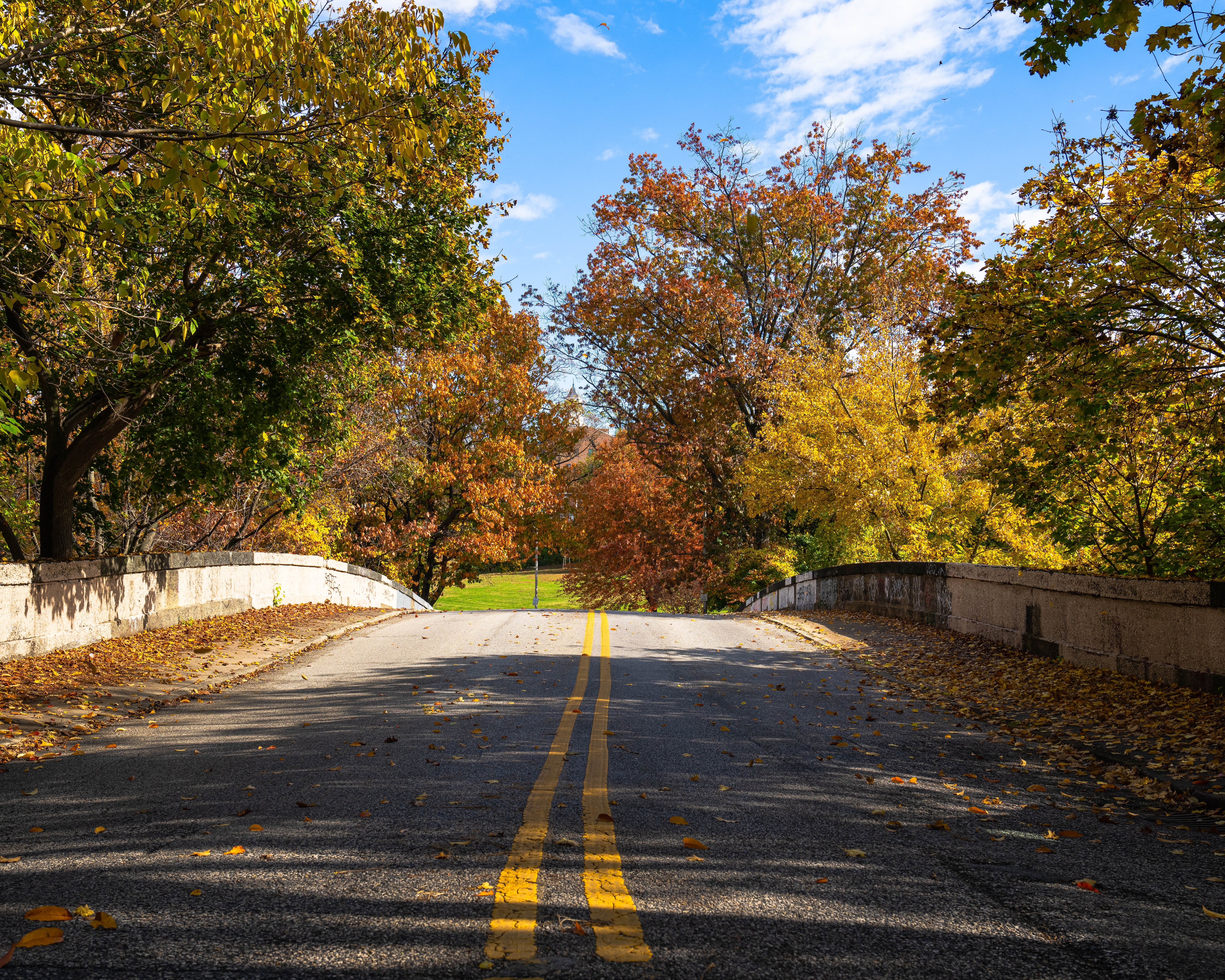 Around Baltimore, fall foliage is expected to peak later in October.