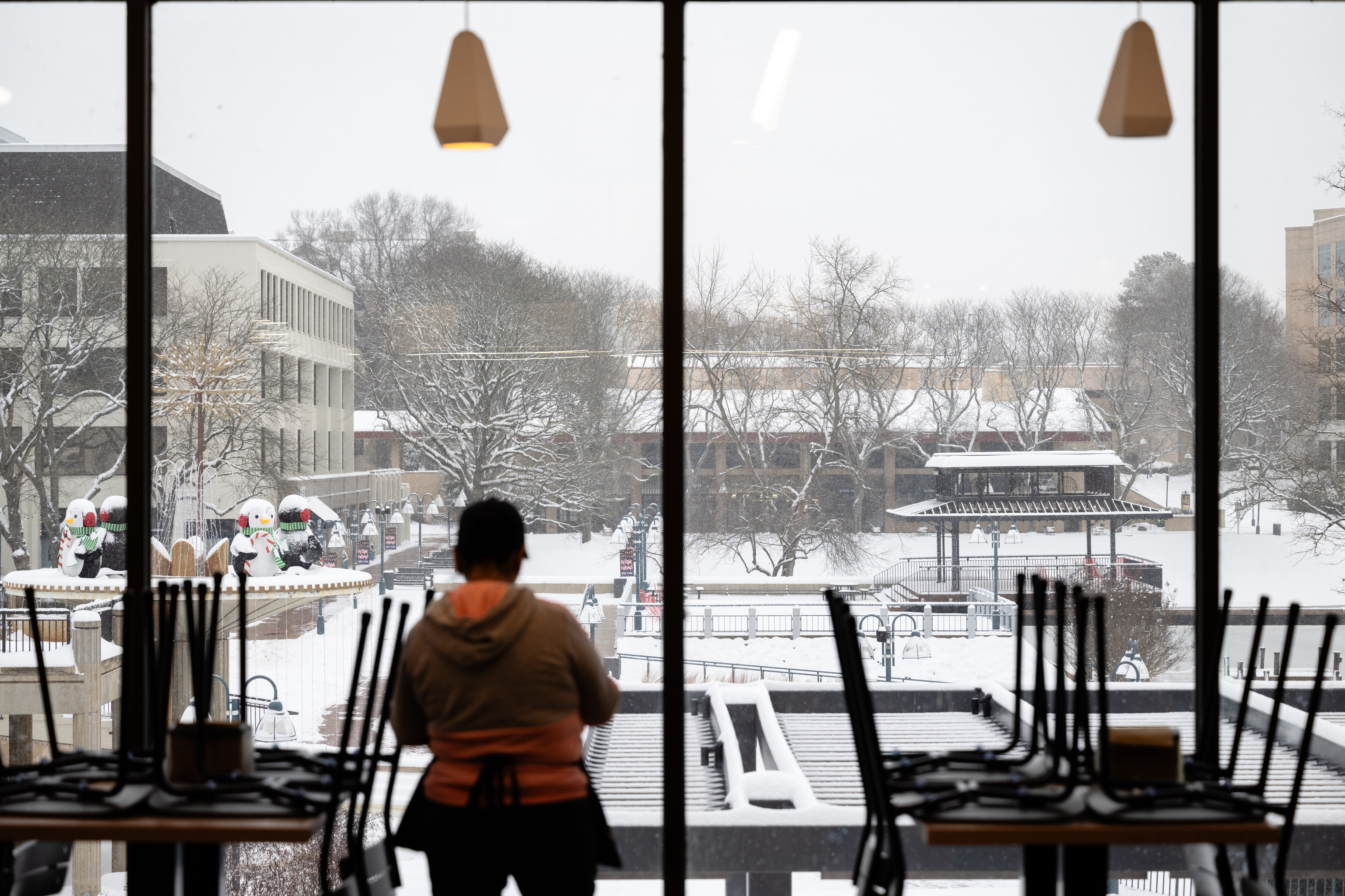 A Whole Foods worker looks out over a snow-covered Columbia Lakefront during snowfall earlier this month. Following weekend snow and bitter cold temperatures, schools in the Baltimore region will be opening late or closed on Tuesday, Jan. 21.