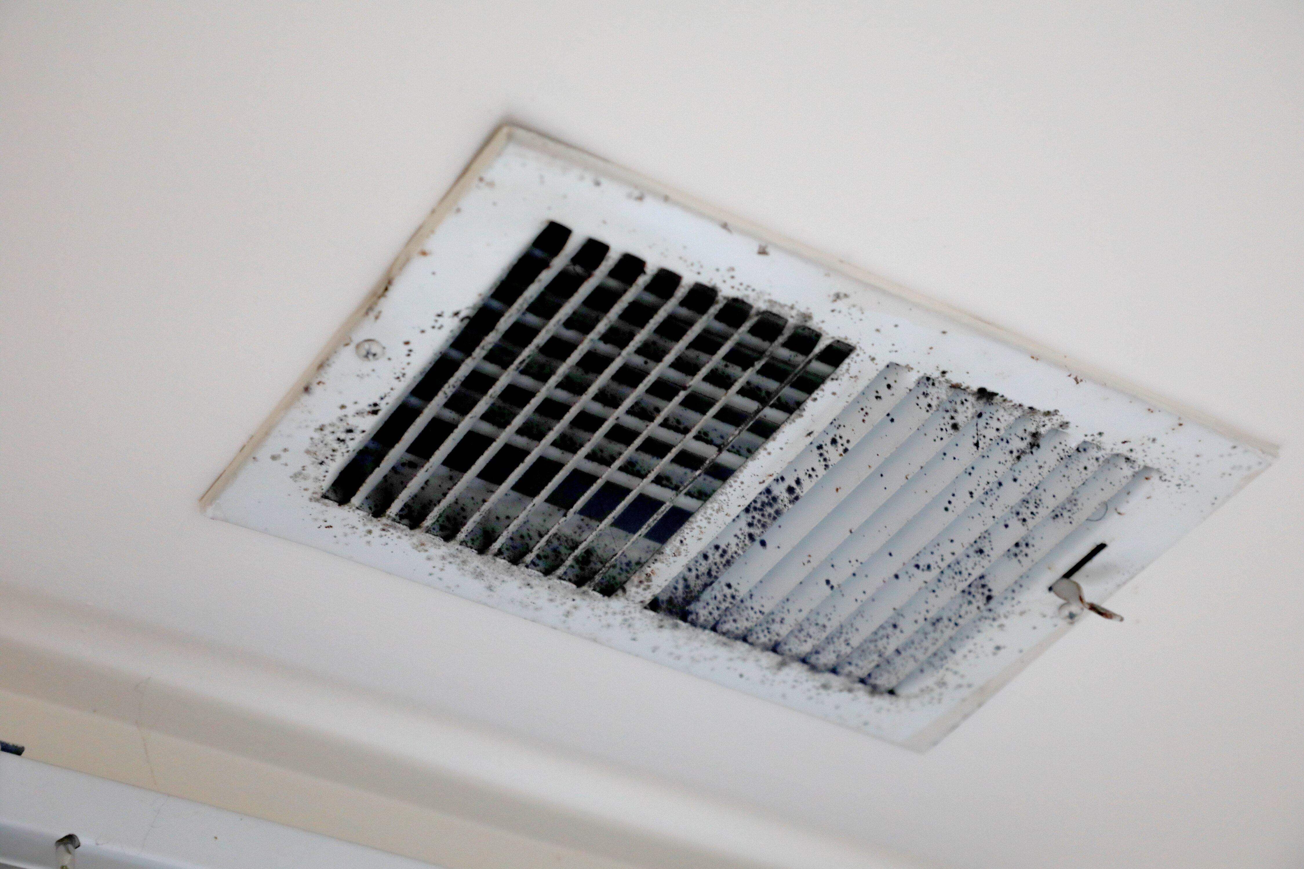 Records show Baltimore nonprofit housing provider stopped paying tenants’ rents and hasn’t accounted for the money.