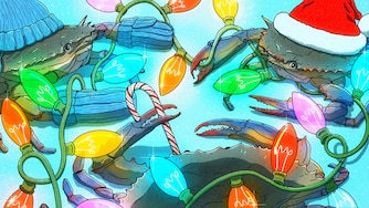 Find the perfect gift with our holiday gift guide!