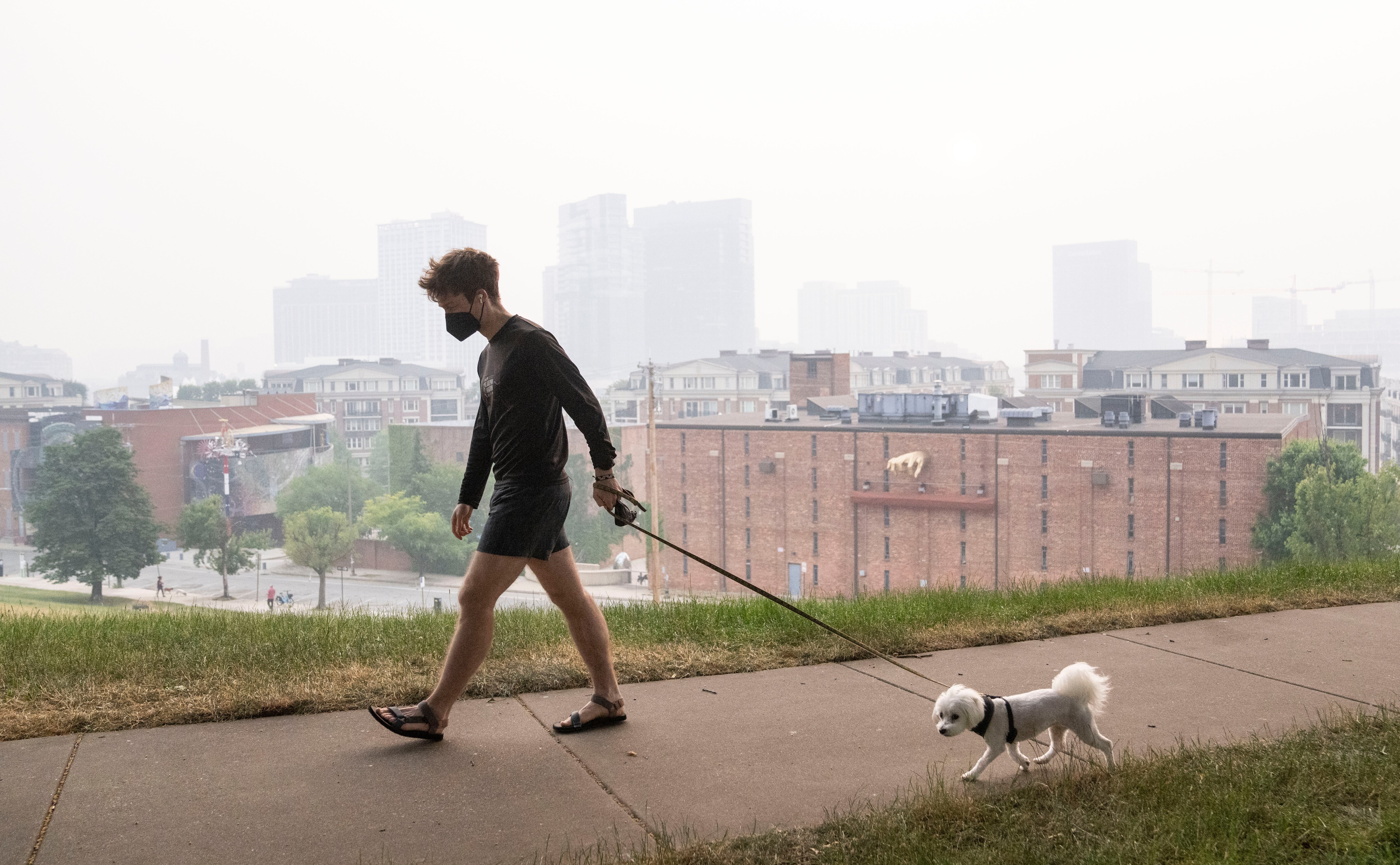 Will Simmons walks his dog, Lulu, through Federal Hill Park, in Baltimore. Air quality in Baltimore remains at dangerous levels due to smoke from Canadian wildfires blanketing the city on Thursday, June 8, 2023.