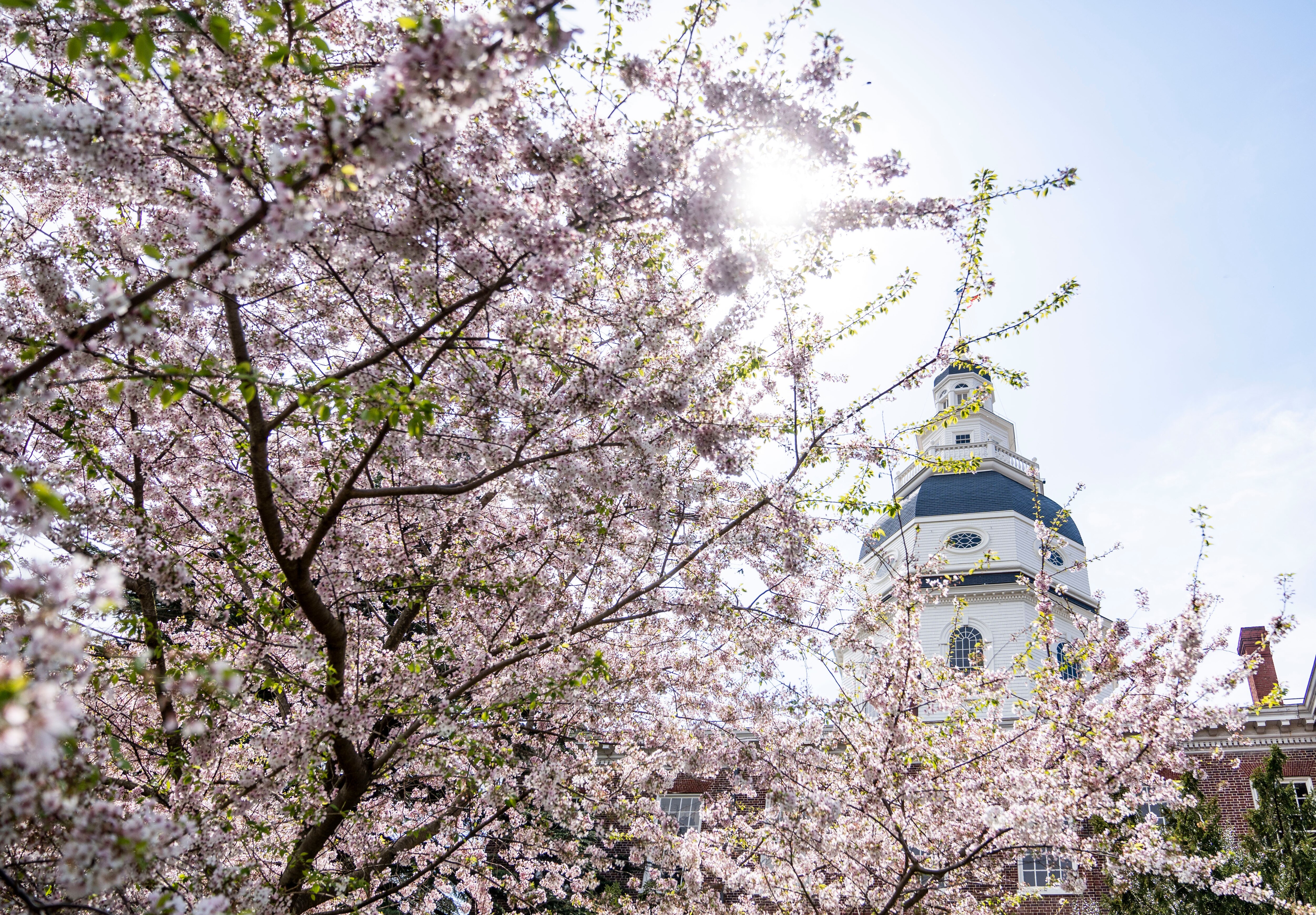 Maryland State House, in Annapolis, Wednesday, April 5, 2023.