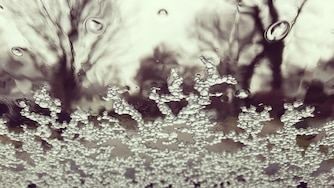 Close up of ice and rain on the windshield of a car with bare winter trees beyond.