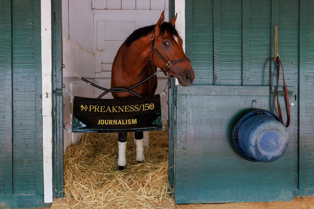 Journalism in the stables ahead of the The Preakness Stakes at Pimlico Race Course on Saturday, May 17, 2025, in Baltimore.