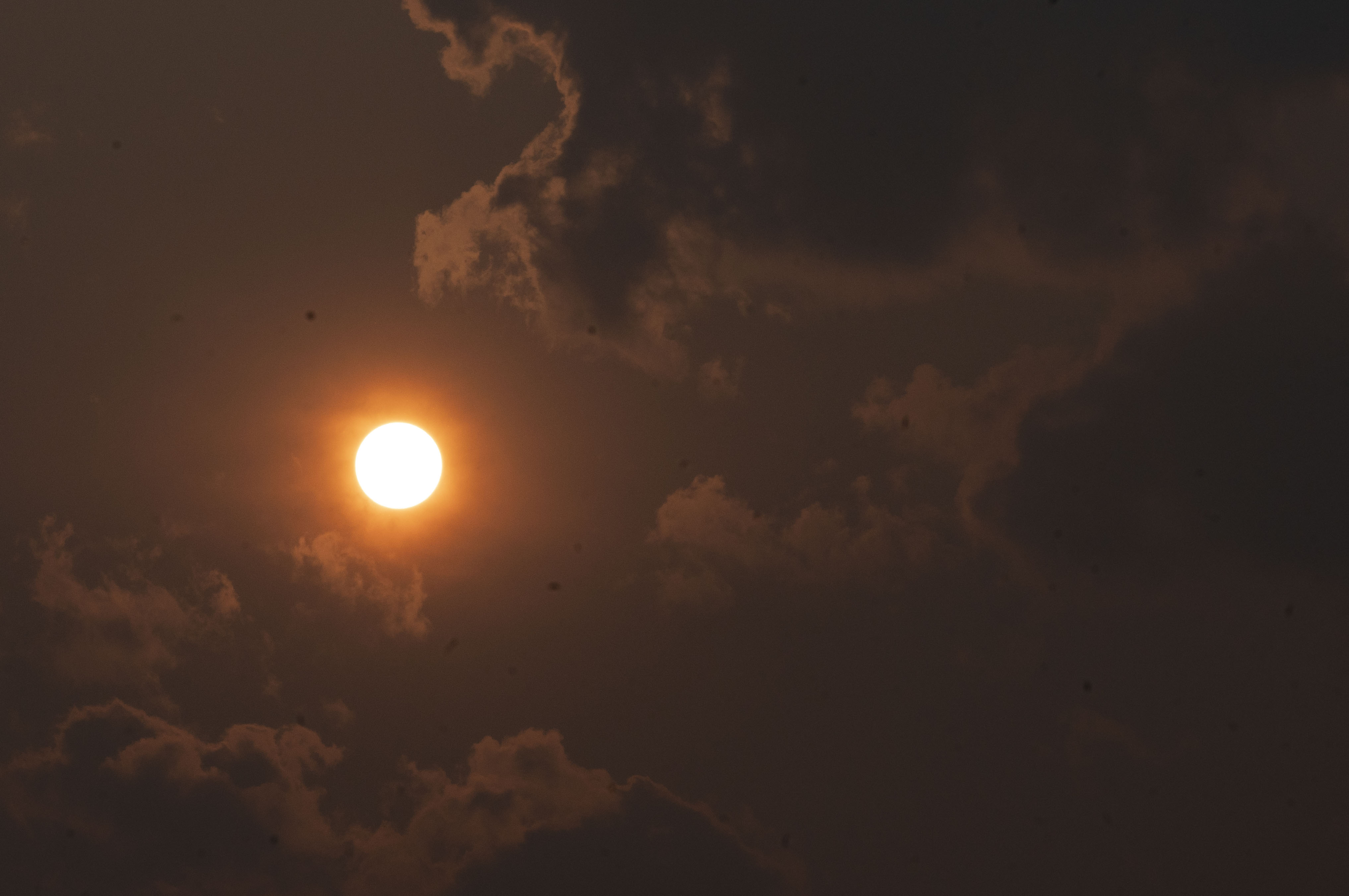 A man in Cecil County died from a heat-related illness, according to the Maryland health department.