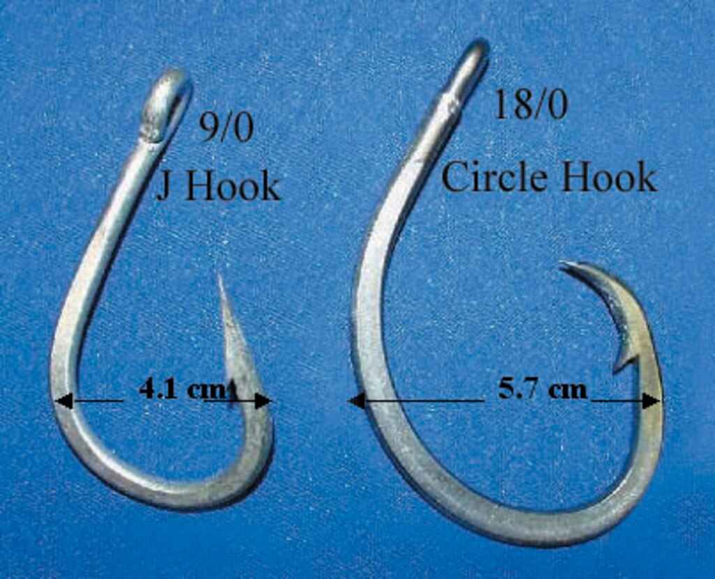 Fishermen have been encourages to use circle hooks, in hopes of reducing mortality in recreational catch and release fishing. The results have been less than hoped for.