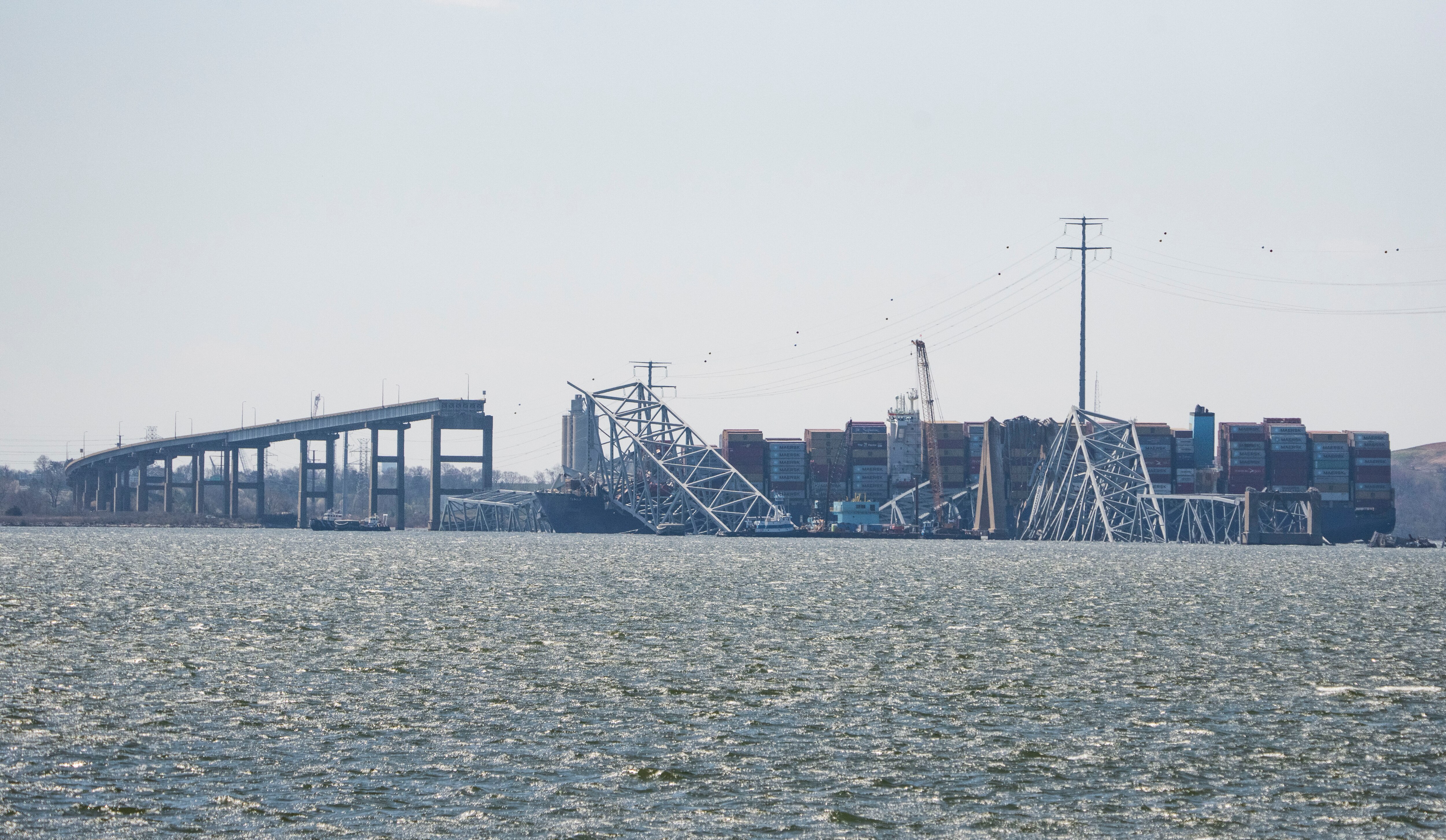 A cargo ship rammed into the Francis Scott Key Bridge early Tuesday, causing it to collapse in seconds.