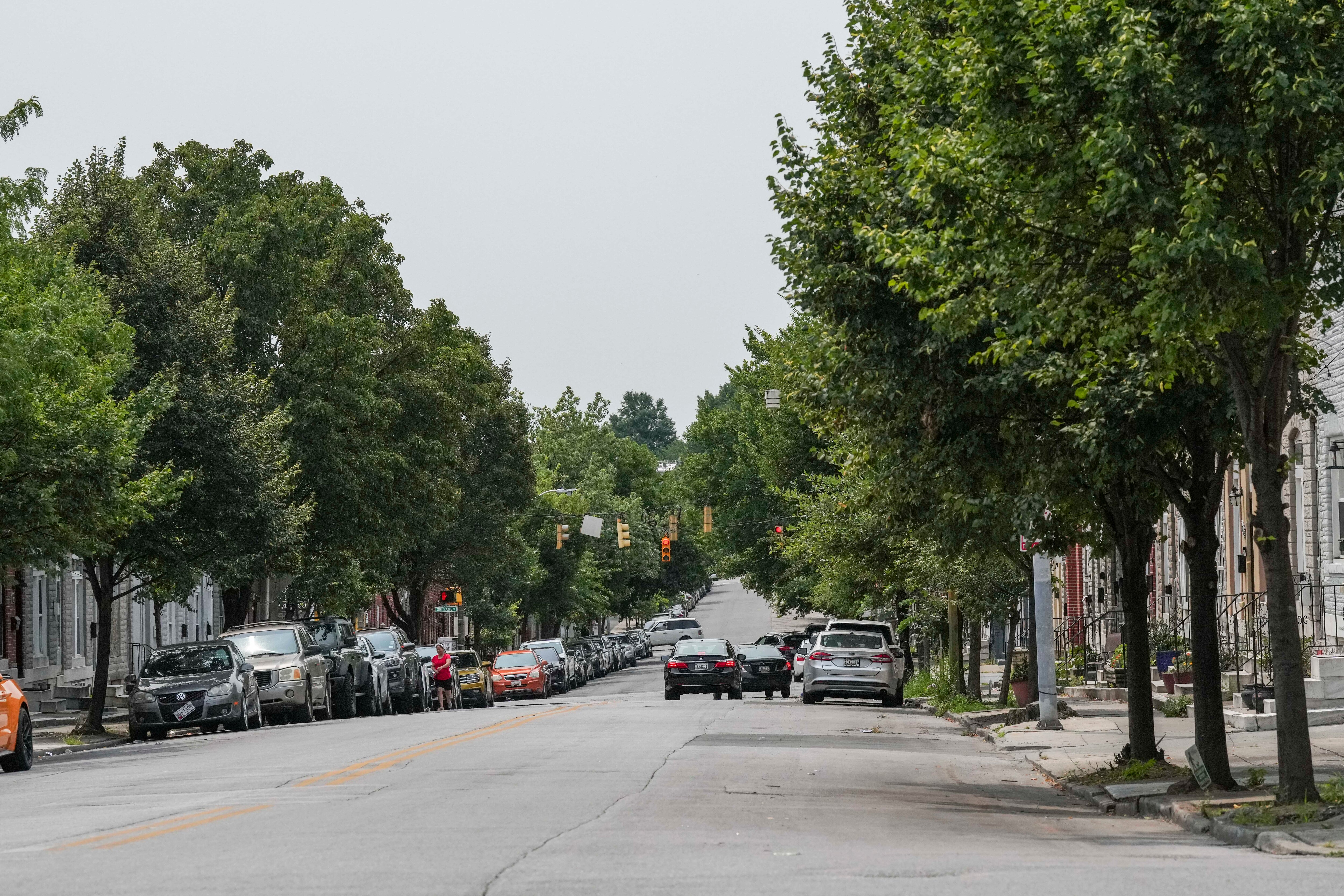 The Baltimore Tree Trust plants trees in underserviced neighborhoods. Here, trees line the streets along North Milton Avenue in the Broadway East neighborhood.