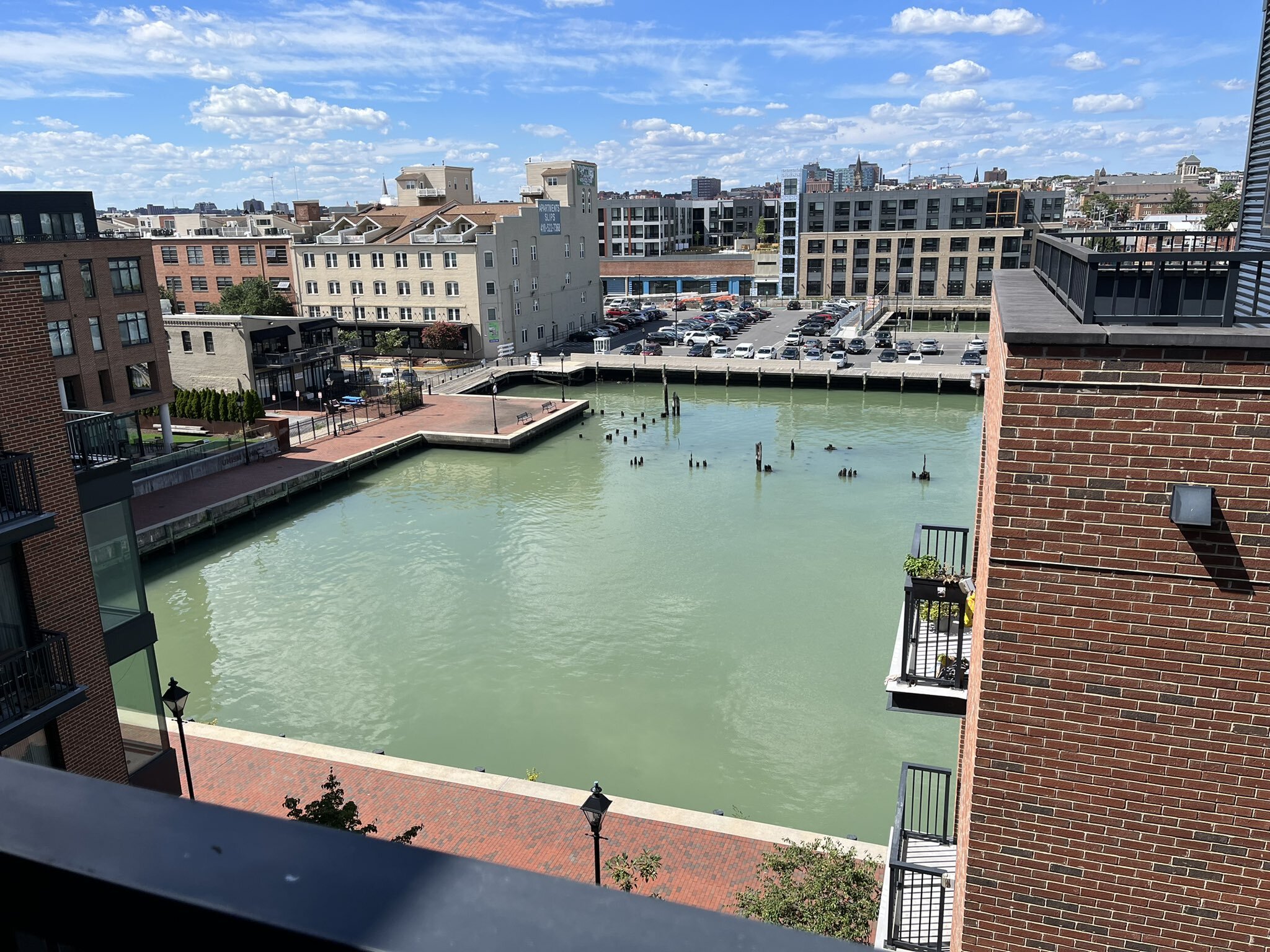 A pistachio tide at Fells.