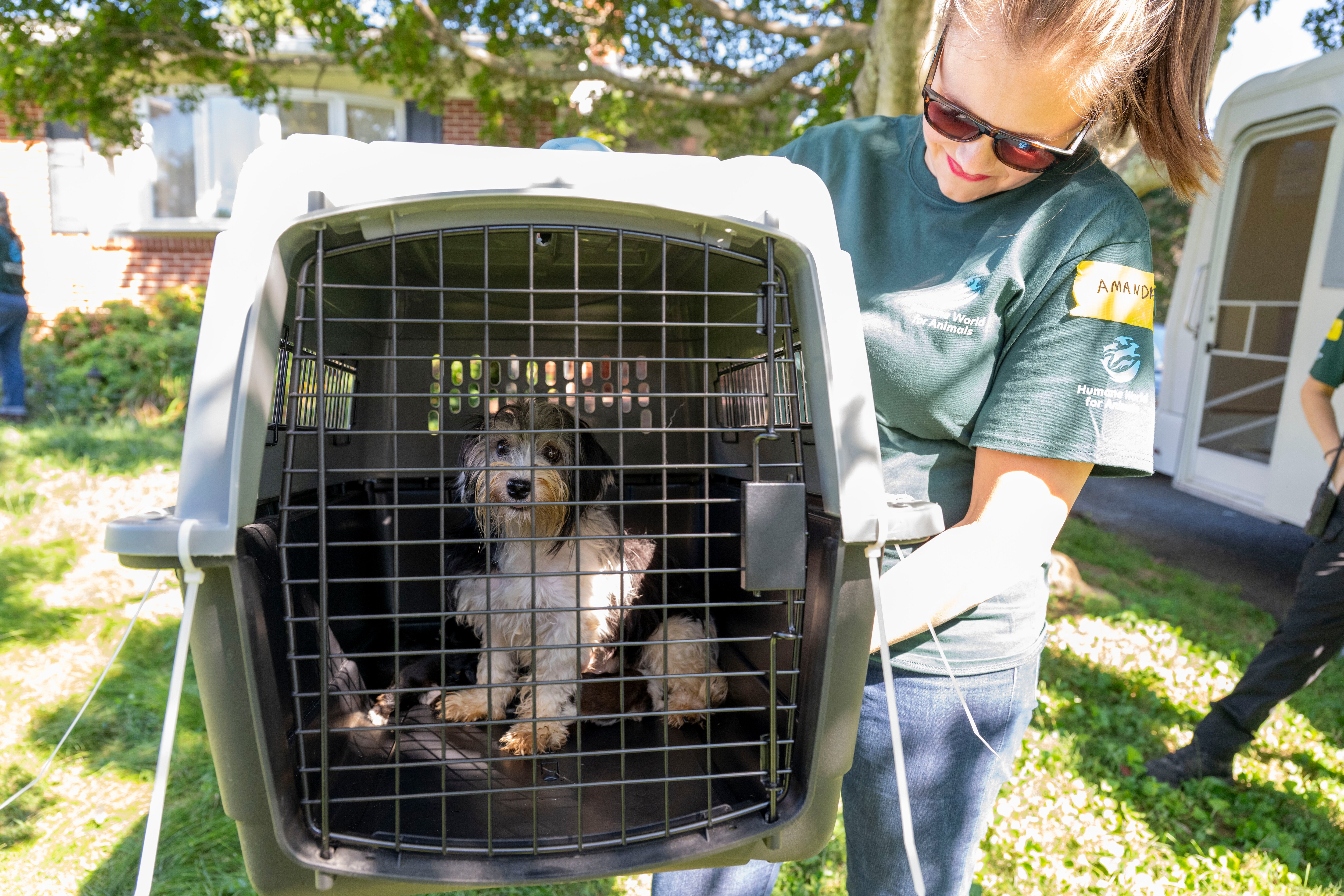 Humane World for Animals assists the Harford County Sheriff’s Office with the rescue of dozens of dogs from an alleged neglect situation at a breeder’s residence, Wednesday, Aug. 27, 2025 in Havre de Grace, Md. (Meredith Lee/Humane World for Animals)