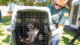 Humane World for Animals assists the Harford County Sheriff’s Office with the rescue of dozens of dogs from an alleged neglect situation at a breeder’s residence, Wednesday, Aug. 27, 2025 in Havre de Grace, Md. (Meredith Lee/Humane World for Animals)