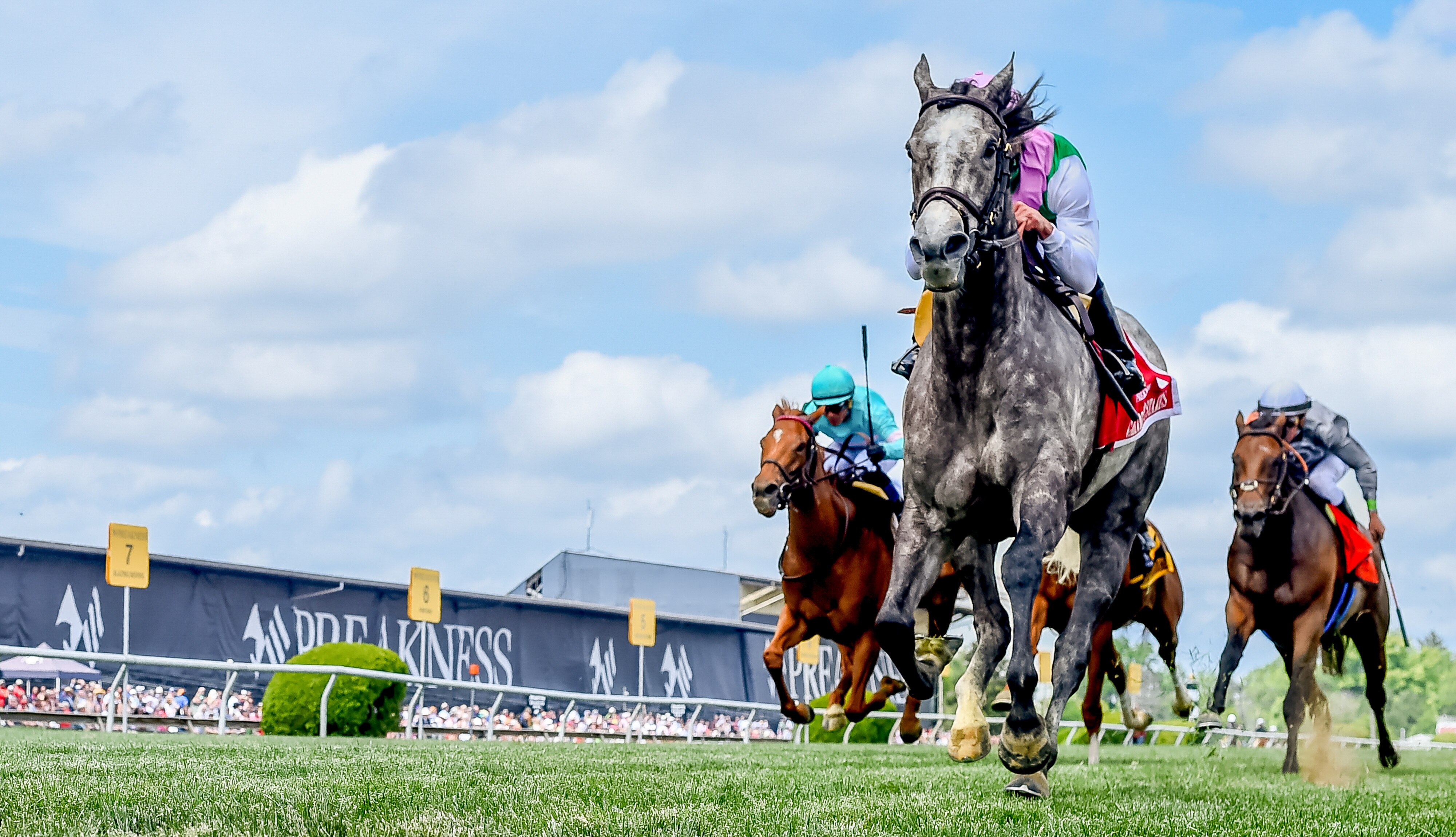 Preakness Stakes brings thousands of fans to Pimlico Race Course each year. How could it not have an economic impact on Baltimore?