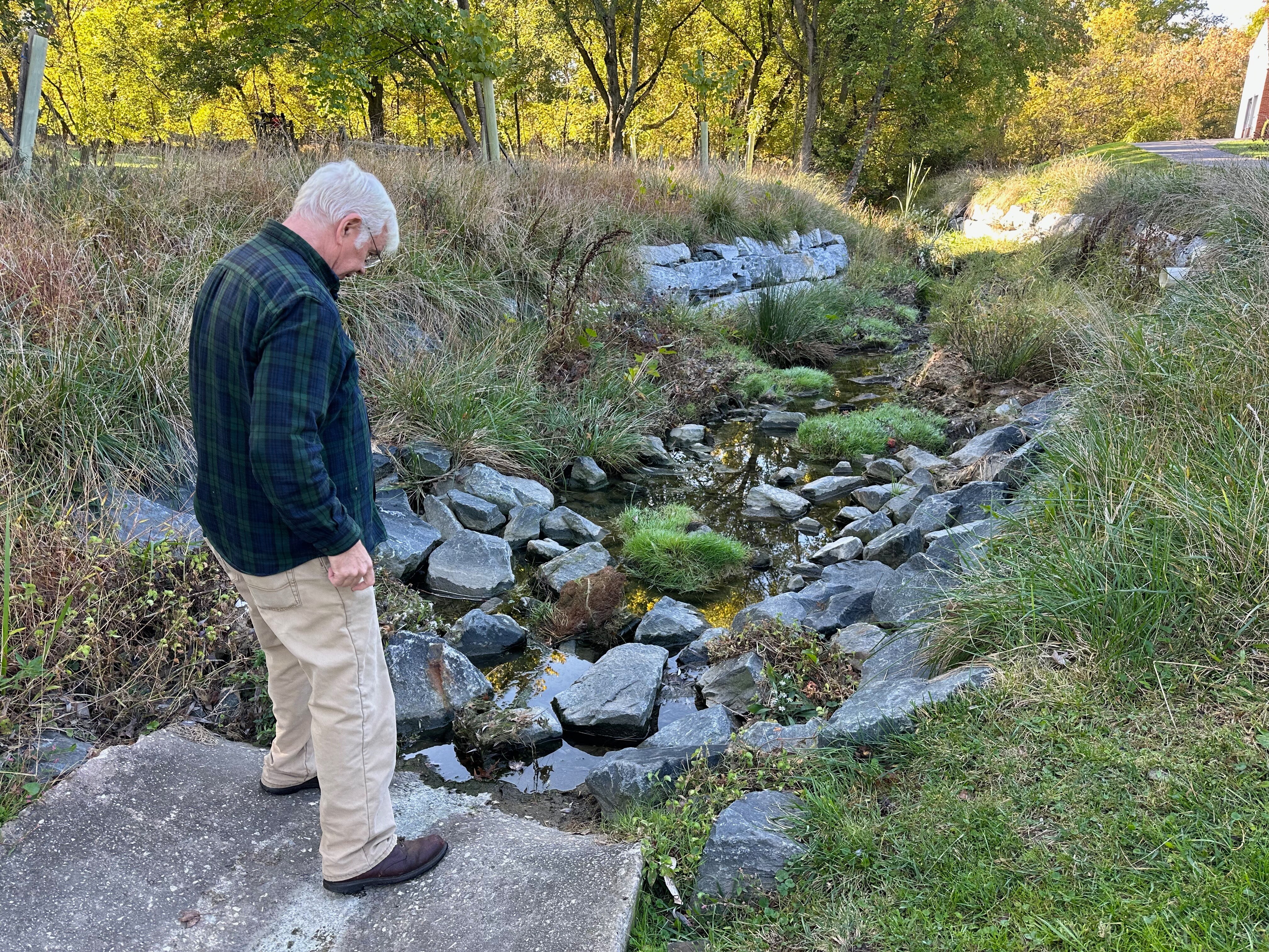 Roger Davis examining a small restored section of the Plum Tree Branch near Dunloggin Middle School.