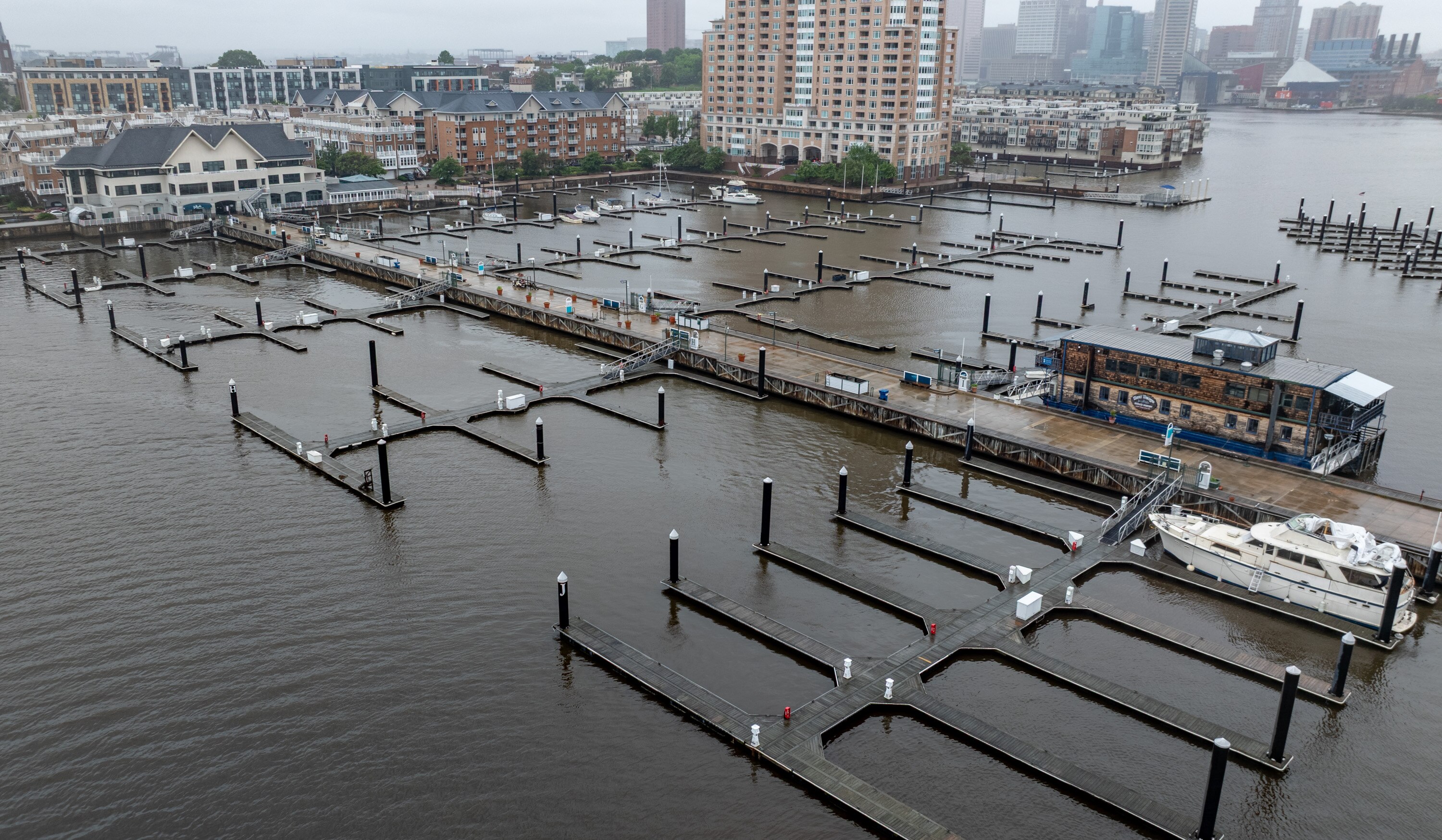 Harborview Marina was auctioned under foreclosure on Wednesday.