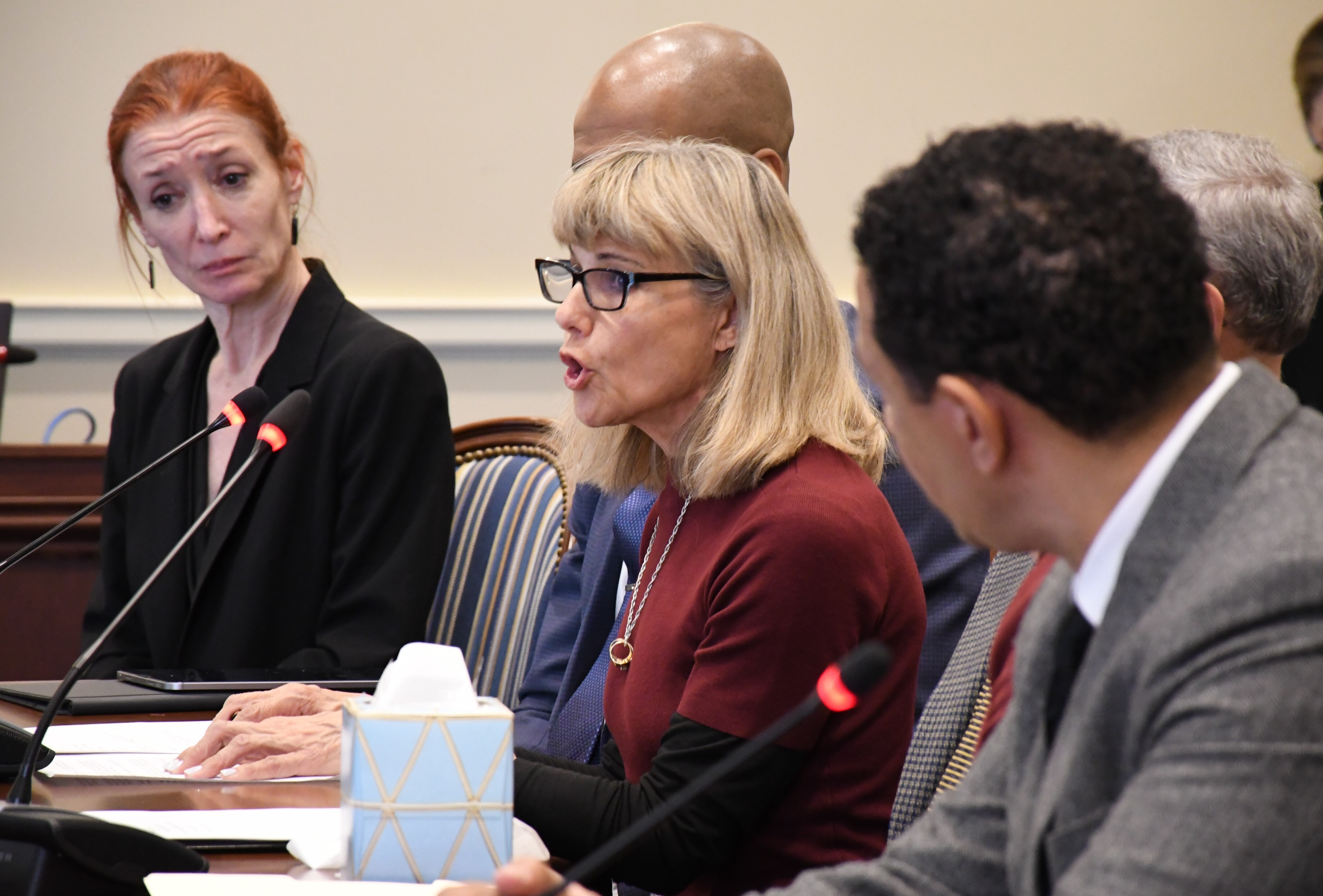Caroline LaPere testifies in favor of the Pava Marie LaPere Act before the Maryland House of Delegates Judiciary Committee in Annapolis on Feb. 6, 2024. The Act is named for her daughter, who was killed in Baltimore in 2023.