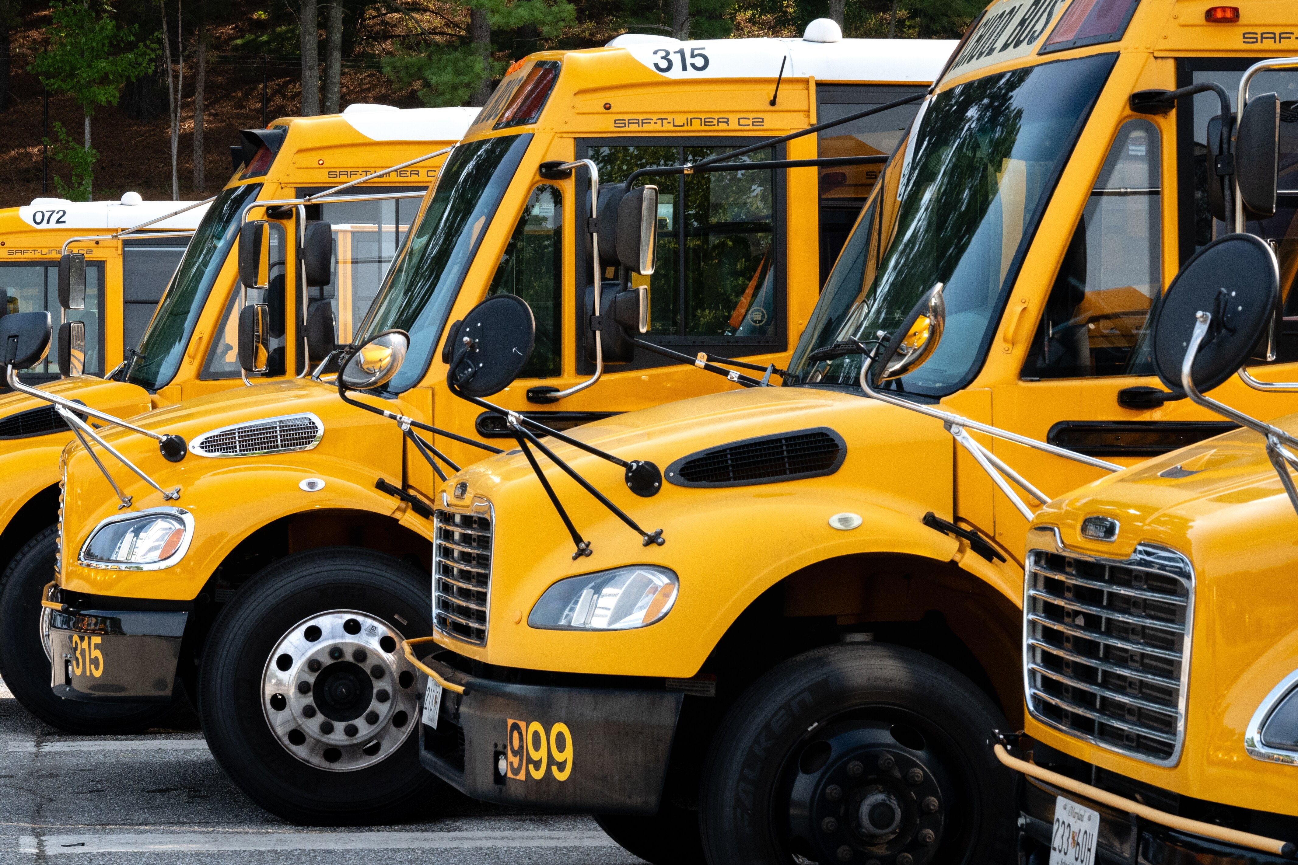yellow school buses