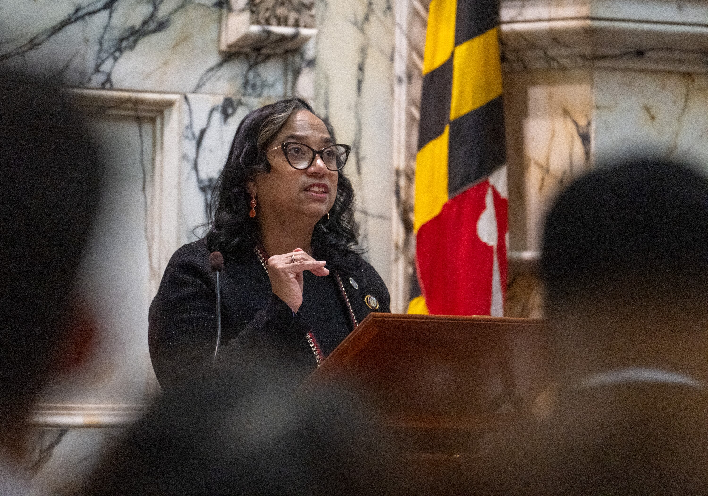 Speaker of the House Joseline Peña-Melnyk addresses the chamber after being sworn in.