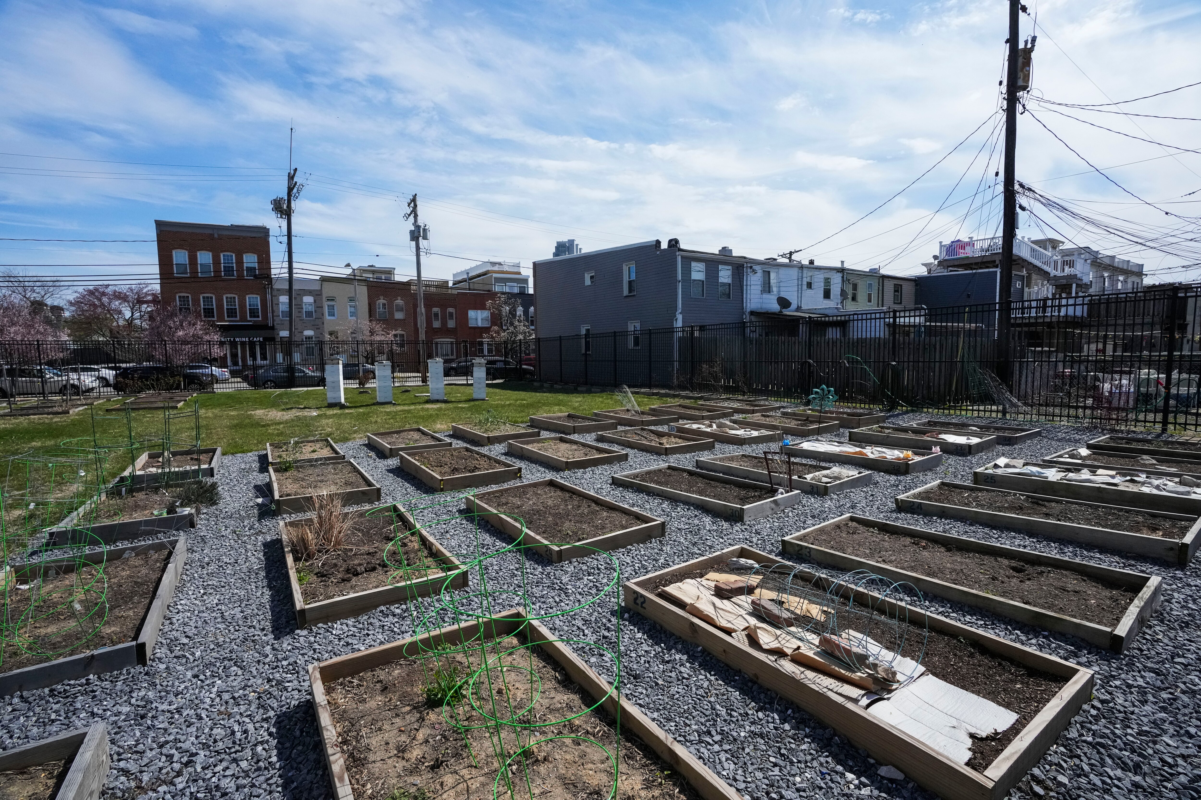 Scene of the community garden located next to Under Armour in Locust Point. (Photo courtesy of Dave Arndt)