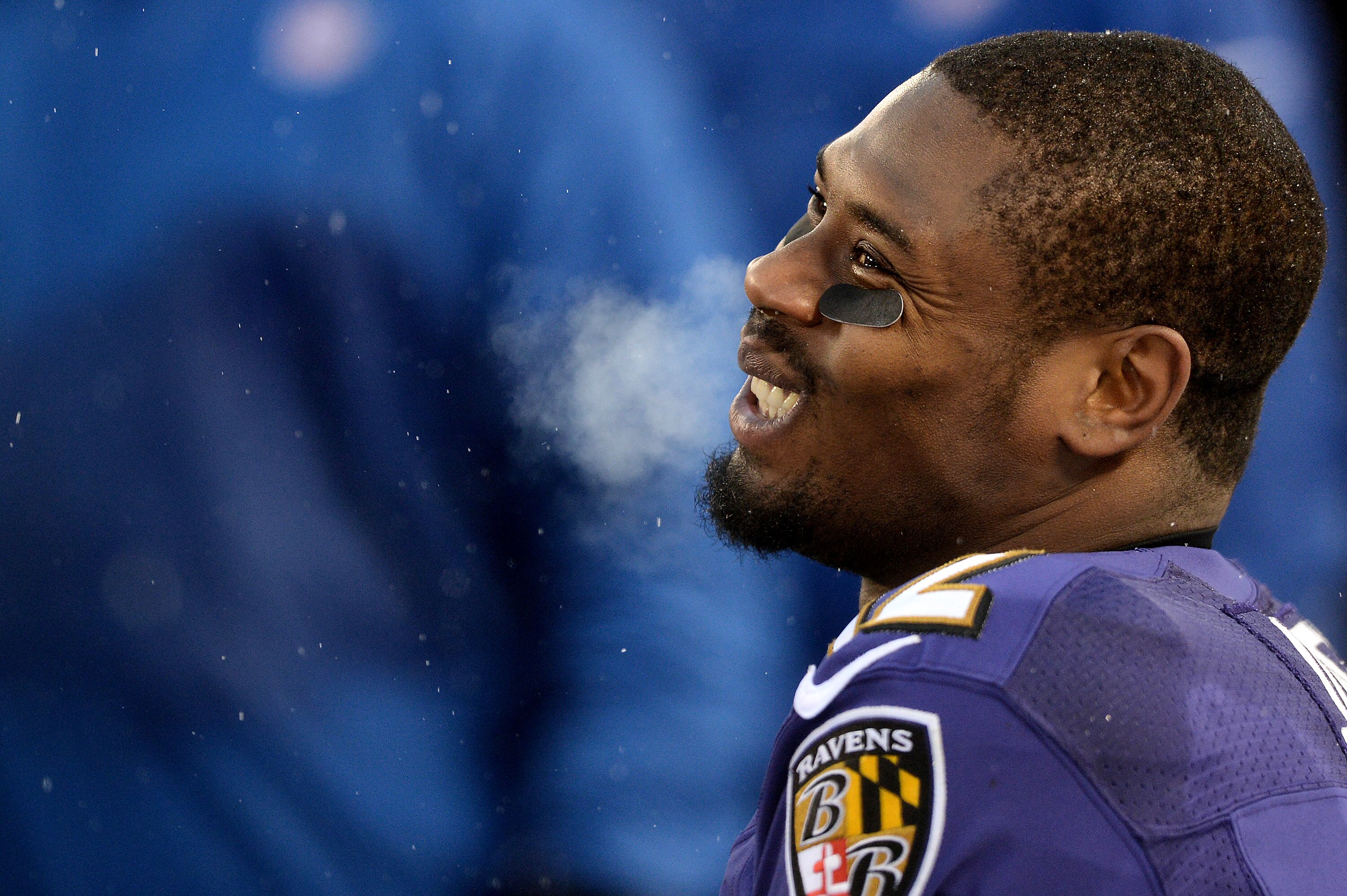 Wide receiver Jacoby Jones smiles on the sideline after returning a kickoff for a touchdown in the fourth quarter against the Minnesota Vikings at M&T Bank Stadium on December 8, 2013.