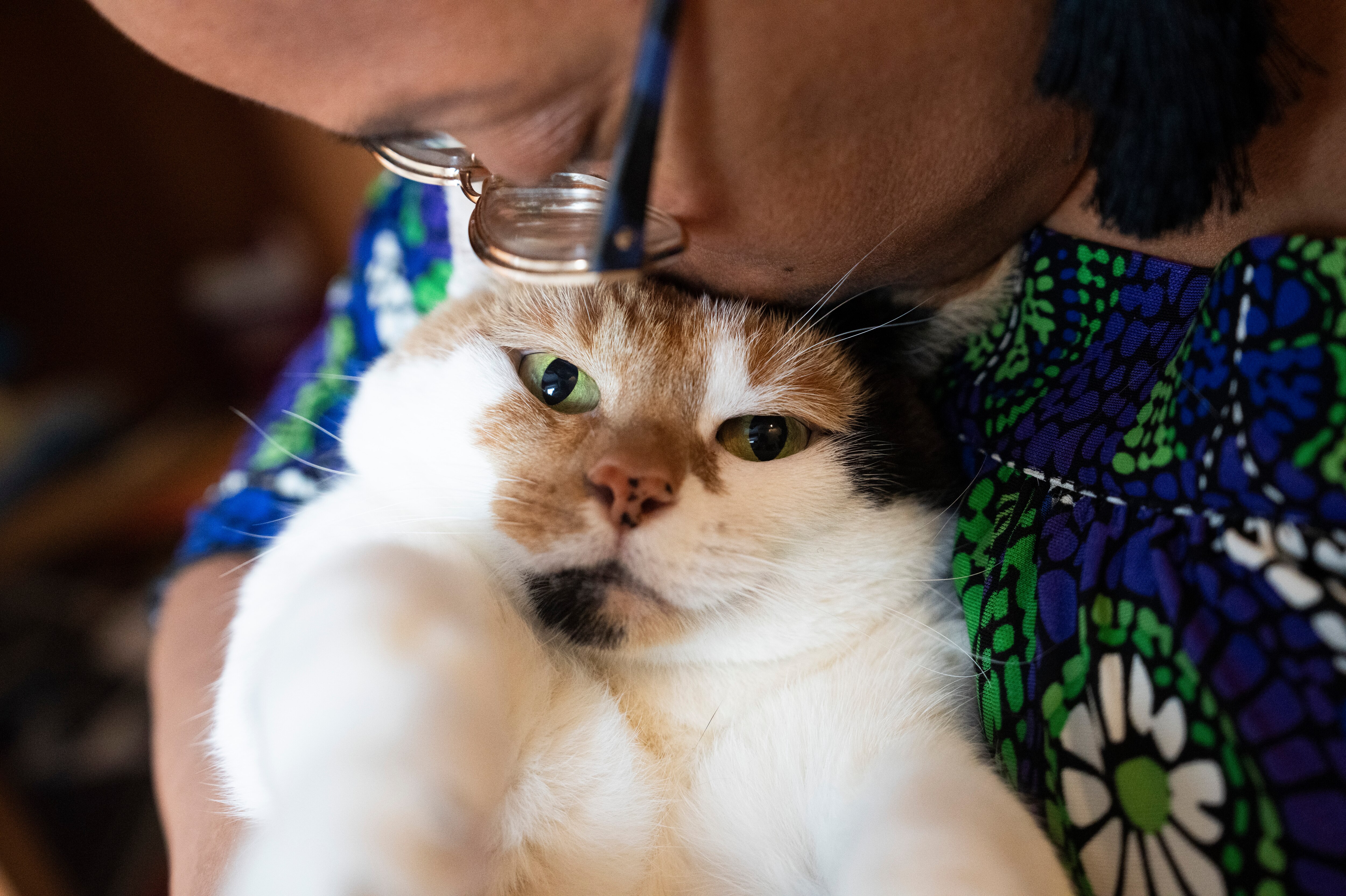 Baltimore Banner columnist Leslie Gray Streeter with her cat, Cass Streeter-Zervitz.