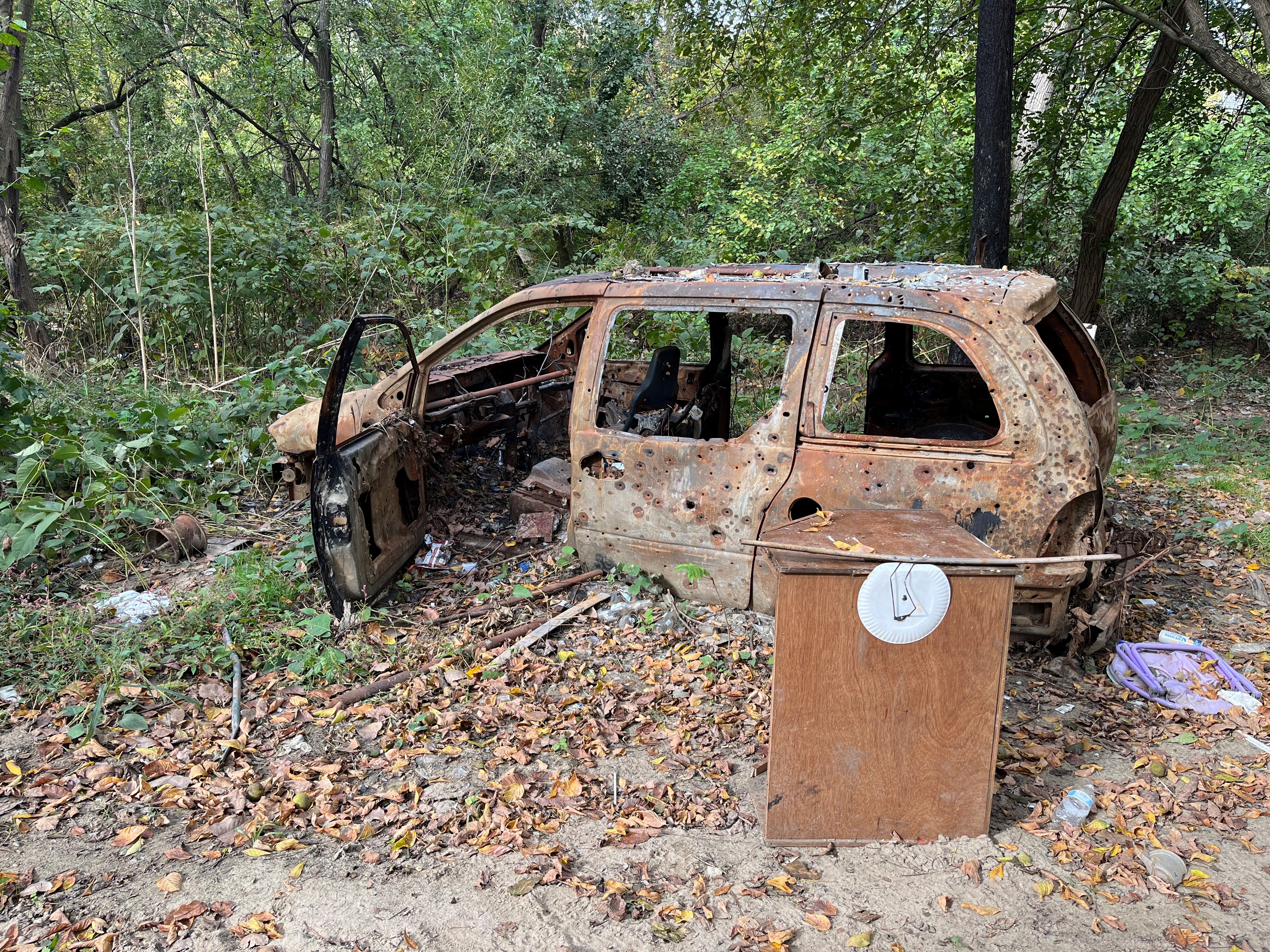 Abandoned cars and other illegal dumping continue to plague the lower portion of Herring Run Park in Northeast Baltimore.