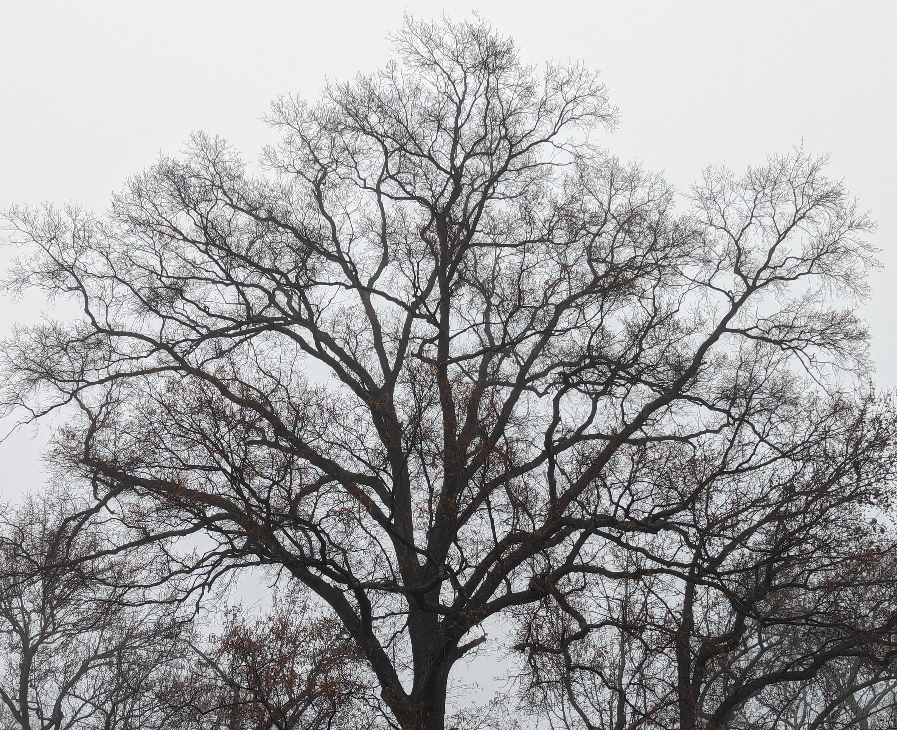 Winter started started Thursday with the arrival of the solstice. But even in the coldest season, there are signs of climate change driven by global warming.