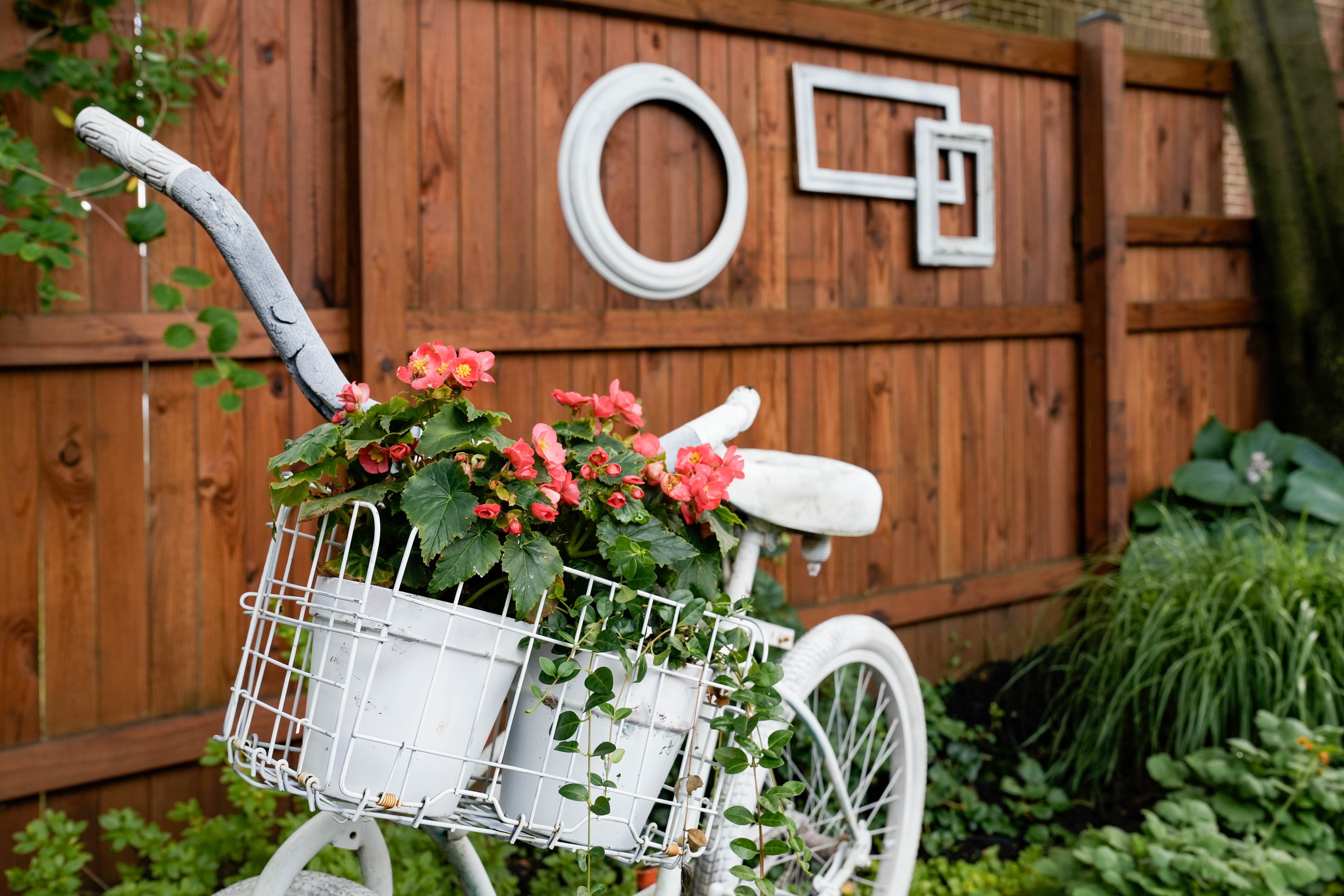 A decorative bike in a backyard on Dennlyn Road in Ashburton on Saturday, June 24, 2023.