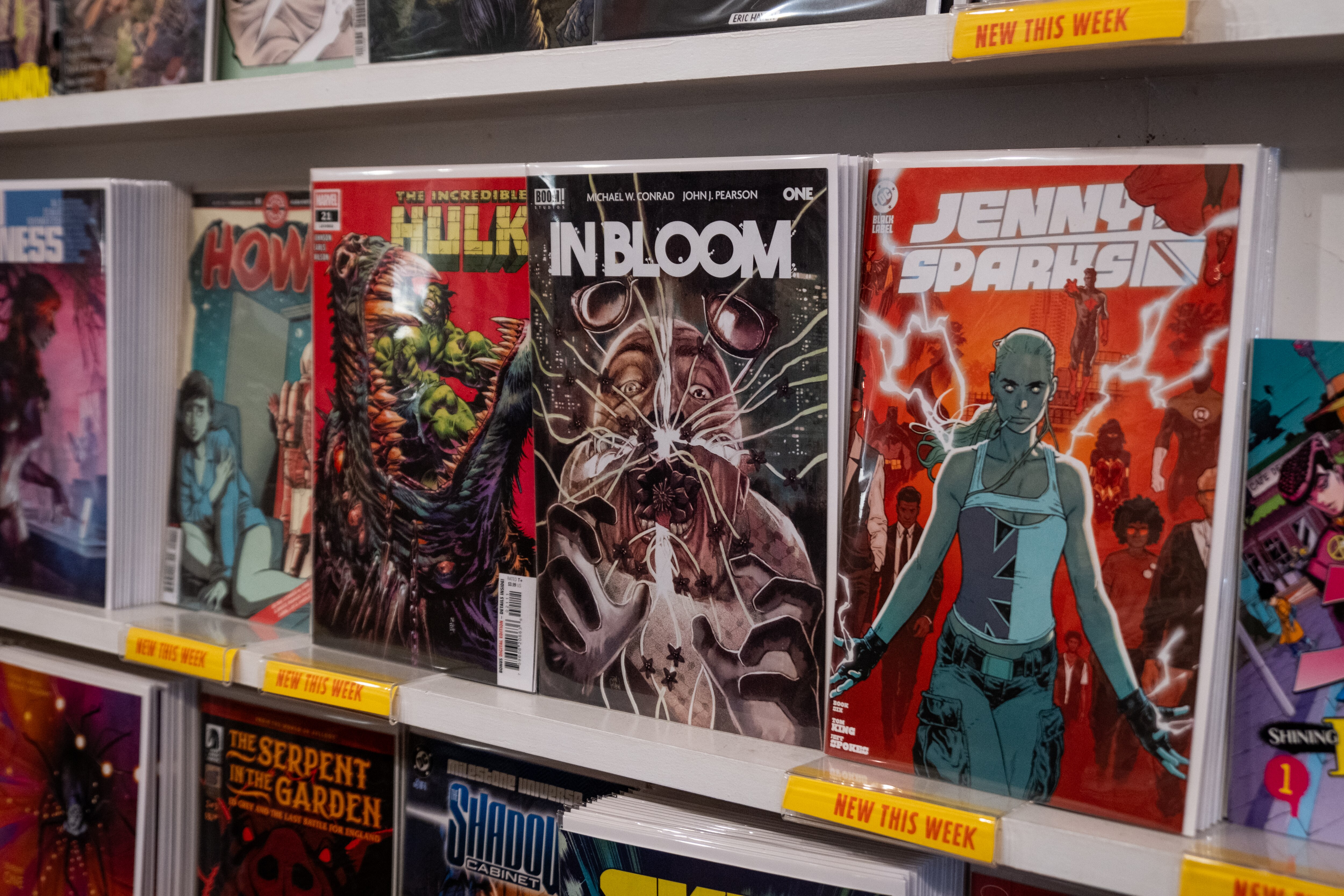“In Bloom” is one of the comics Atomic Books in Hampden gets exclusively through Diamond Comic Distributors. Photographed on Friday, January 17, 2025.