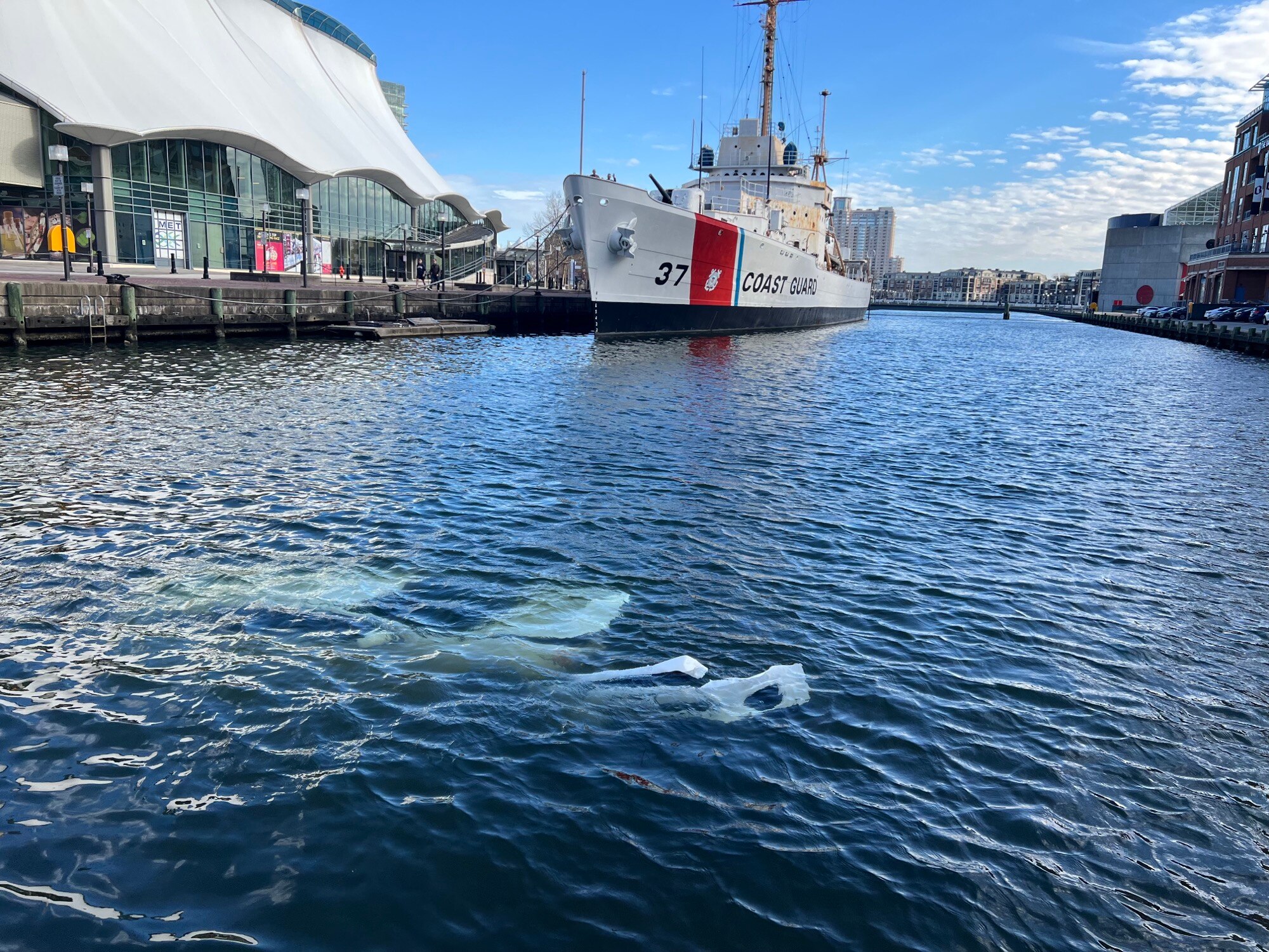 A car submerged in the water of the Inner Harbor.