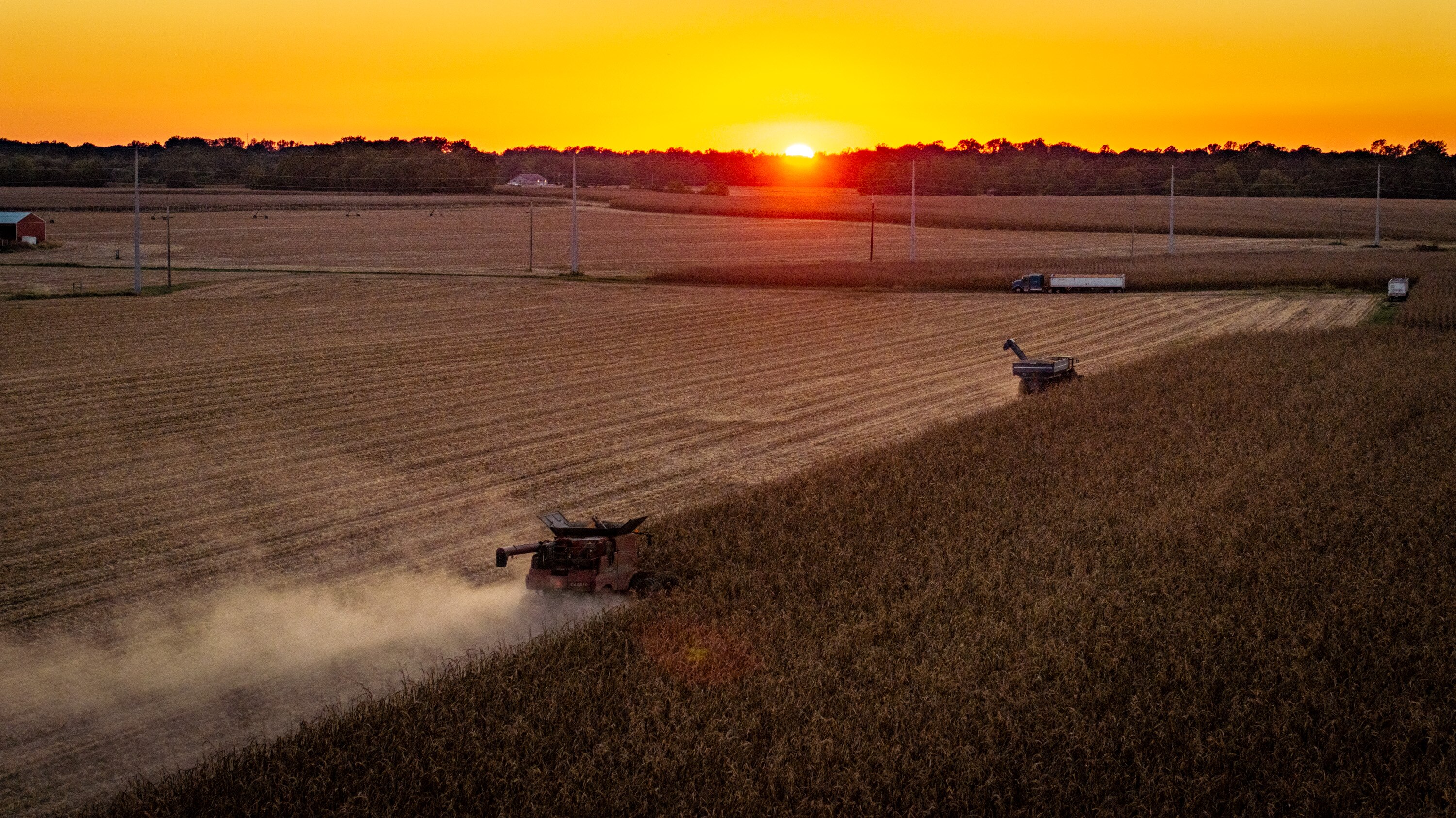 A combine harvests corn at sunset on the eastern shore near Easton.