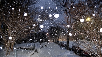 Snow falls in the Charles Village neighborhood of Baltimore, Md., on Monday, January 6, 2025.